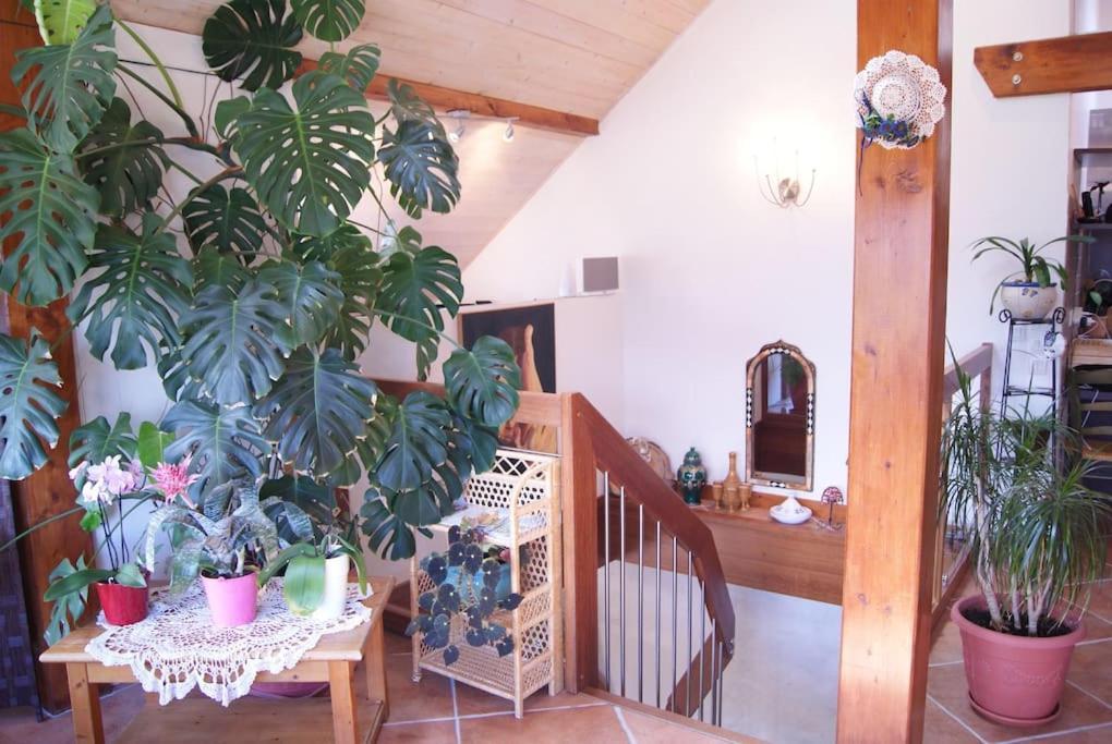 Le Sourire Du Bed and breakfast